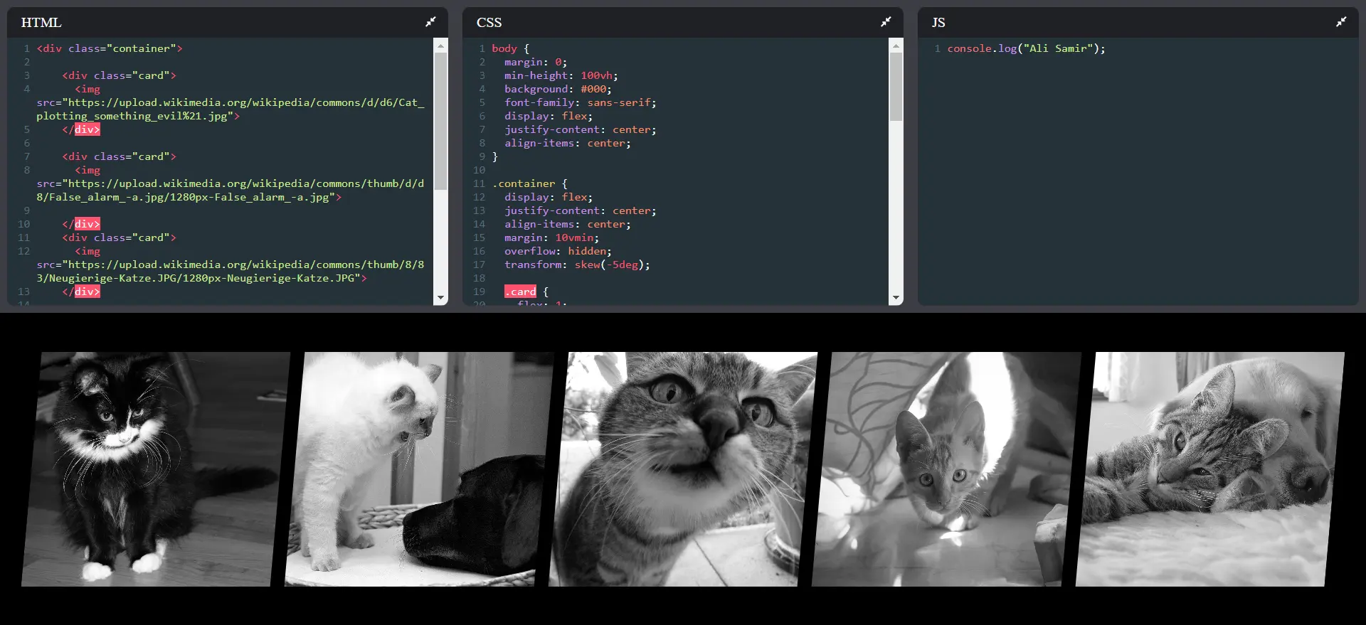 CodePen Clone